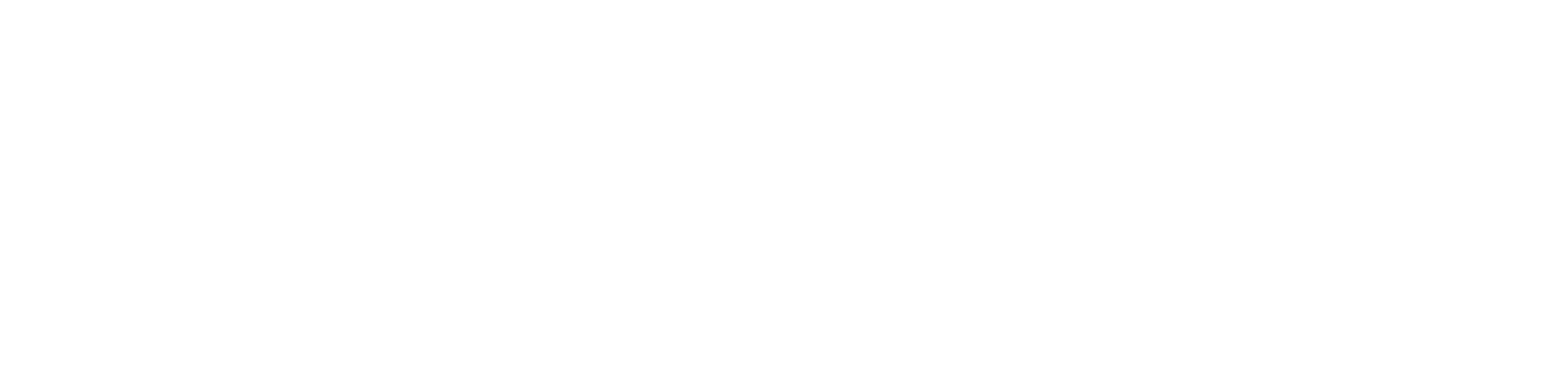 THE RESET